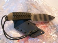 StriderMFS-pk23.jpg