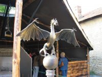 IMG_6424.JPG