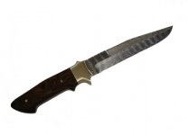 Schanz Subhilt.jpg