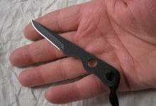 5Buck-Hartsook hand.JPG