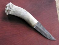 skull1.jpg