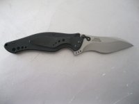 Kershaw und Böker Springer 014.JPG