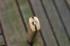 DSC_0060.JPG