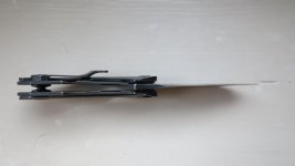 IMG_8584.jpg