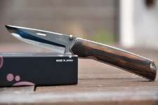 higo_06.jpg