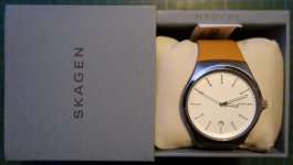 skagen1895.jpg skagen1895.jpg