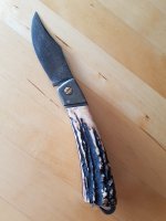 IMG-20181015-WA0013.jpg IMG-20181015-WA0013.jpg