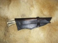 horn scheide (Medium).JPG