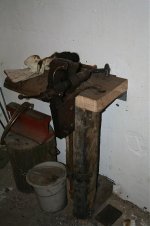 IMG_0950.jpg