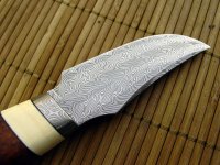 Stienen_11 014_1.jpg