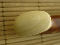 Stienen_11 034_1.jpg