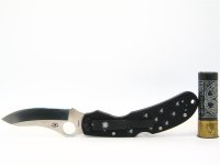 C74GP Ocelot 103 (Medium).JPG