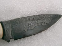 CIMG1637.JPG