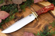 custom-2016-bowie-a-a2-red-and-gold-maple-burl-jenni-399.95.jpg