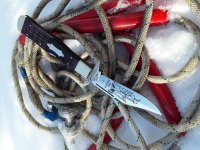 20170128_104432.jpg