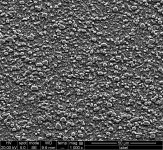 03 Carbide Volume CPM-154 17% 1000x.jpg