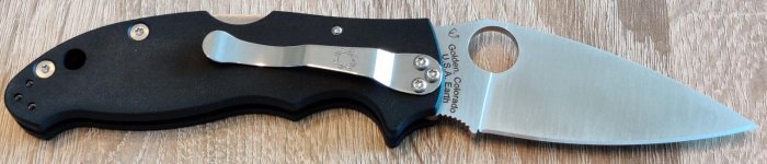 Spyderco_Manix2Backlock_4.jpg