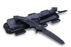 Glauca-B1.jpg Glauca-B1.jpg