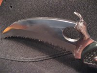SpyderhawkWave1.JPG