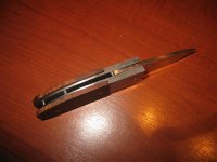 IMG_5319.jpg