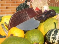 IMG_2716_2.jpg