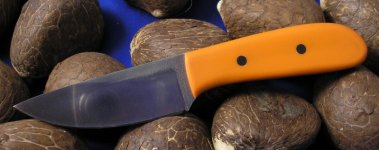 Orange shorty in SB1 a.jpg