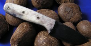 2519 mit knochen rechte seite.JPG