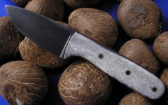 2519 mit knochen linke seite.JPG