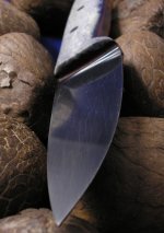 2519 mit knochen von vorne.JPG