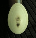 Stienen_12_45.jpg