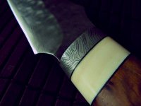 Stienen_12_ 032.jpg