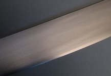 IMG_1576.jpg