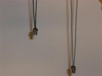 CIMG1268 (Small).JPG