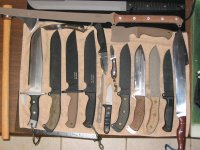 big5 (Medium).jpg