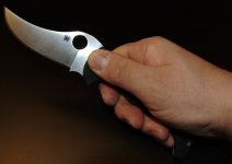 5 Chinook Hand.jpg