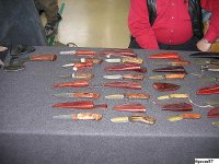 IMG_2431.jpg