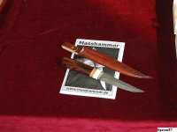 IMG_2493.jpg