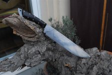 DSC_0013.jpg