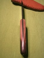kleine Weinrebe-5.jpg