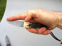 Hirsch hand.jpg