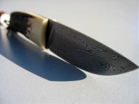 IMG_1570.jpg