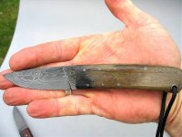 Pferd Hand.jpg
