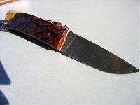IMG_1549.jpg