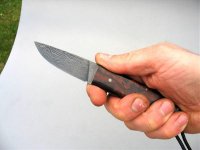 Wüste hand.jpg
