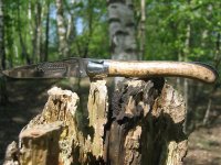 IMG_0009[1].jpg