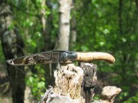 IMG_0010[1].jpg
