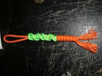 CIMG1437 (Medium).JPG