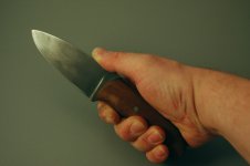 Rusticus - CK75 Greenheart Hand.jpg