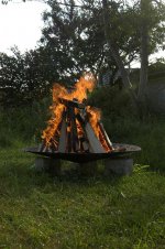DSC_0156.jpg