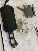 IMG_1751.JPEG